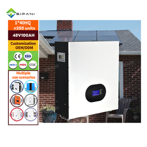 48v 100ah 200ah 300ah Wall Mount Lithium Iron Phosphate Battery Pack 6000 Cycle 51.2v 5kwh 10kwh 15kwh Battery Lifepo4 Solar Powerwall for Home Solar Energy