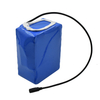 Wheelchair Electric Golf Trolley Li Ion Battery 24v Battery Pack