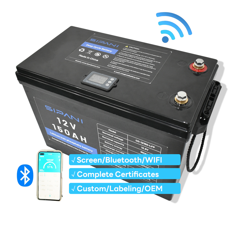 Customized 12V 24V 36V LifePO4 RV Marine Ship Boat Home Energy Storage Lithium Iron Phosphate Battery With Bluetooth WIFI MPPT Controller Battery Indicator