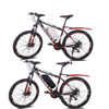 Tiger Shark Electric Bicycle E Bike Battery Pack 36v 48v 8.8ah 10ah 13.2ah 18ah Roadbike Ebike Battery with Charger
