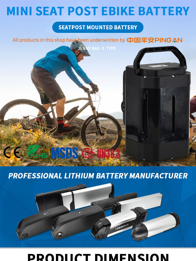 electric bike battery