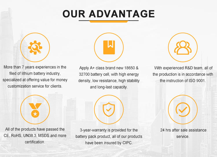 48v 30ah Lithium Ion Battery