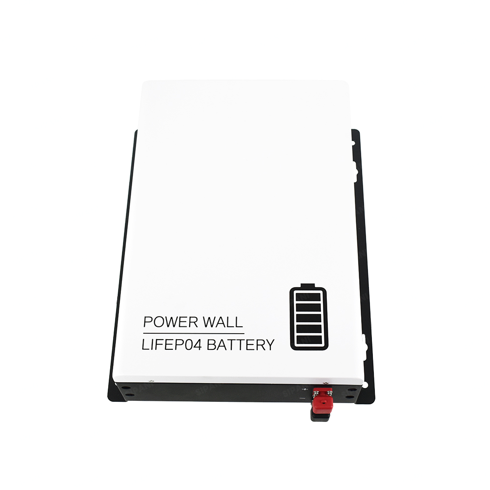 EU Mini Balcony Solar Panel System Micro 3kwh Powerwall Battery Home Complete Energy Storage System Micro Inverter Balcony PV 24V 120Ah Wall Mounted Lifepo4 Battery