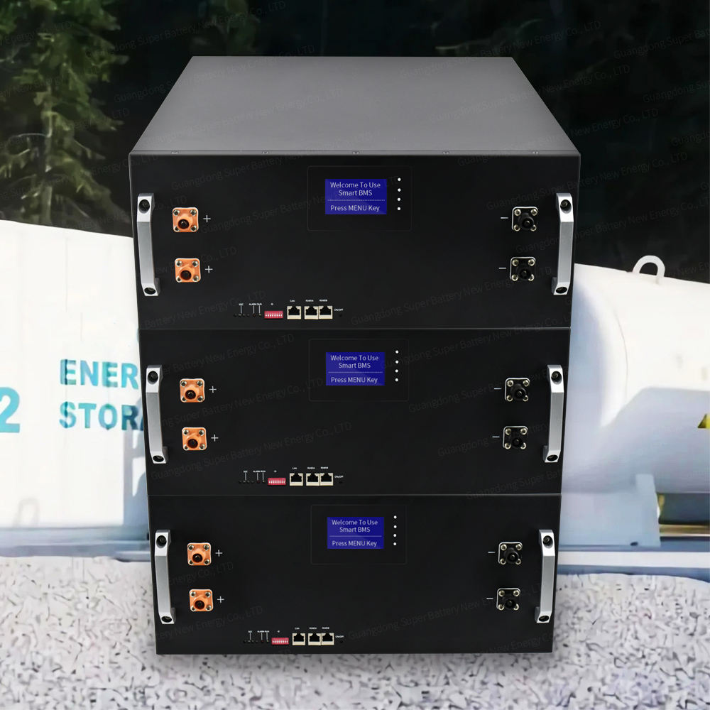 Solar Server Rack 10kwh Lithium Lifepo4 Battery 10 year warranty 48v 200ah Cabinet Rack Mount Solar Power Energy Storage Battery