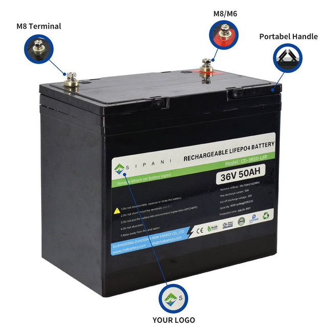 36v Lithium Ion Battery Pack 36v 40ah 50ah 60ah 80ah 100ah Lifepo4 Trolling Motor Battery